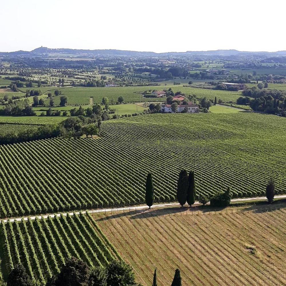 Albergo Quatro Pini Pozzolengo Exteriör bild